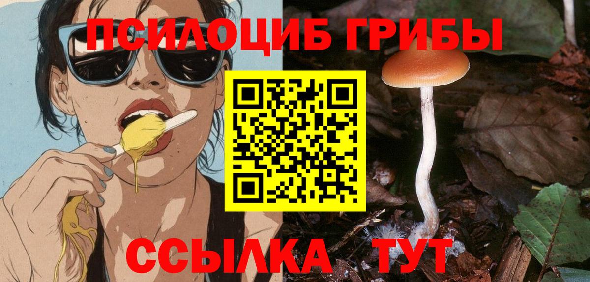 Псилоцибиновые грибы Magic Shrooms  сколько стоит  Мурманск  Вход с VPN 